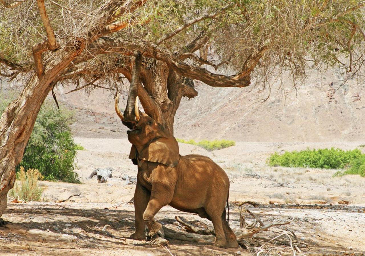 Khowarib Lodge Buitenkant foto