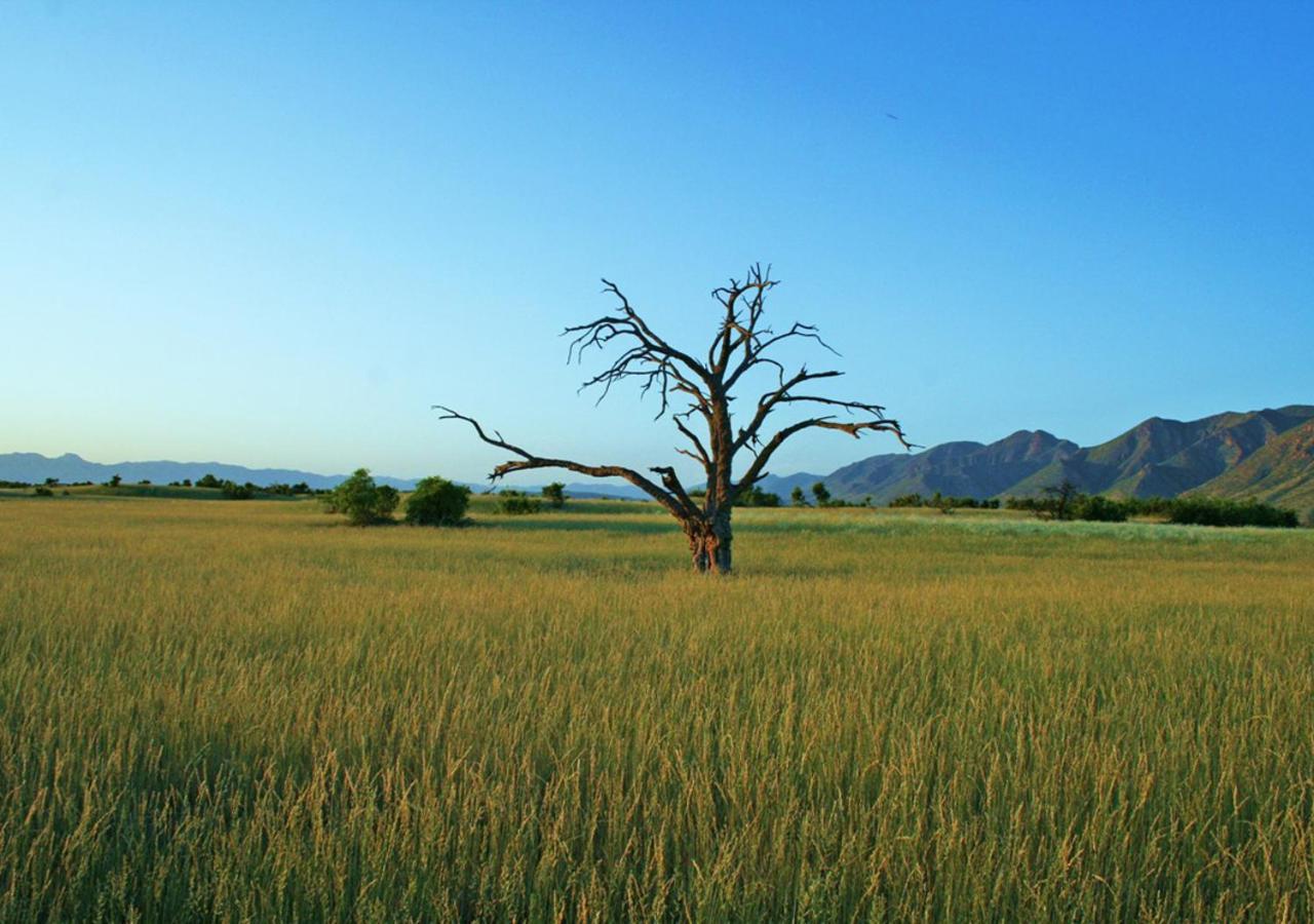 Khowarib Lodge Buitenkant foto