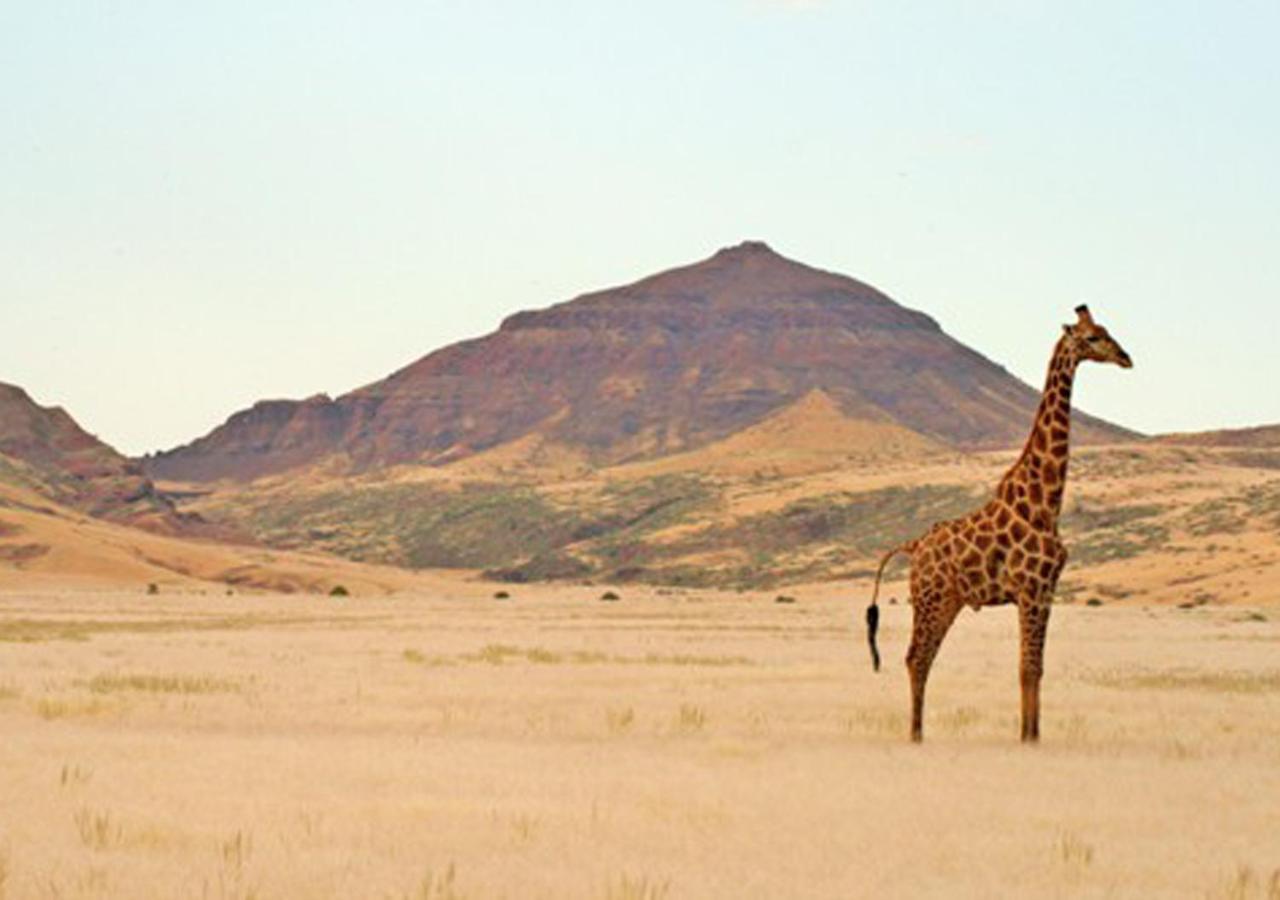 Khowarib Lodge Buitenkant foto