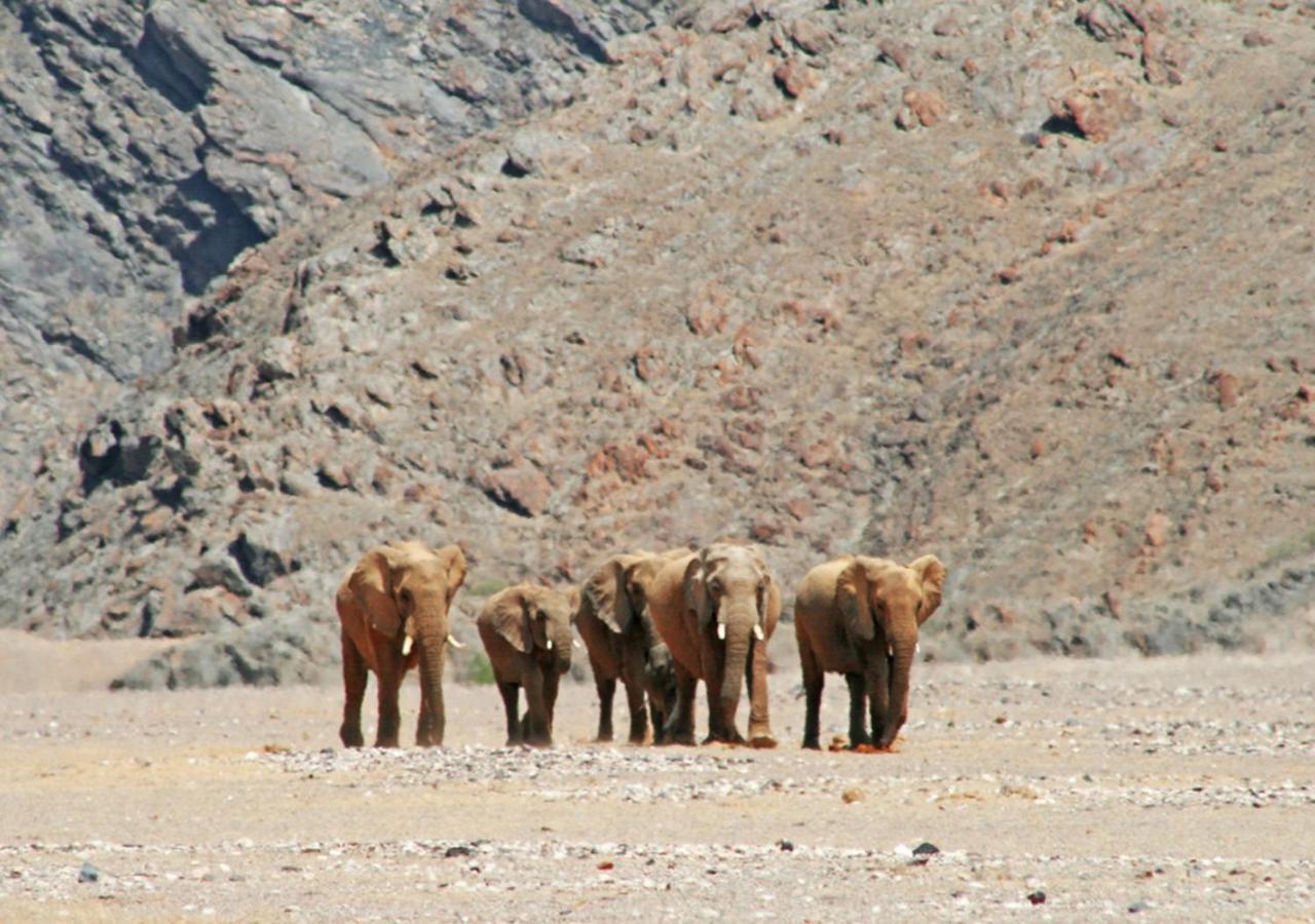 Khowarib Lodge Buitenkant foto